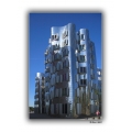 Gehry Haus